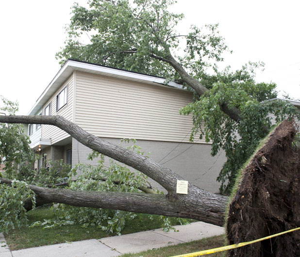 Emergency & Residential Electrical Service